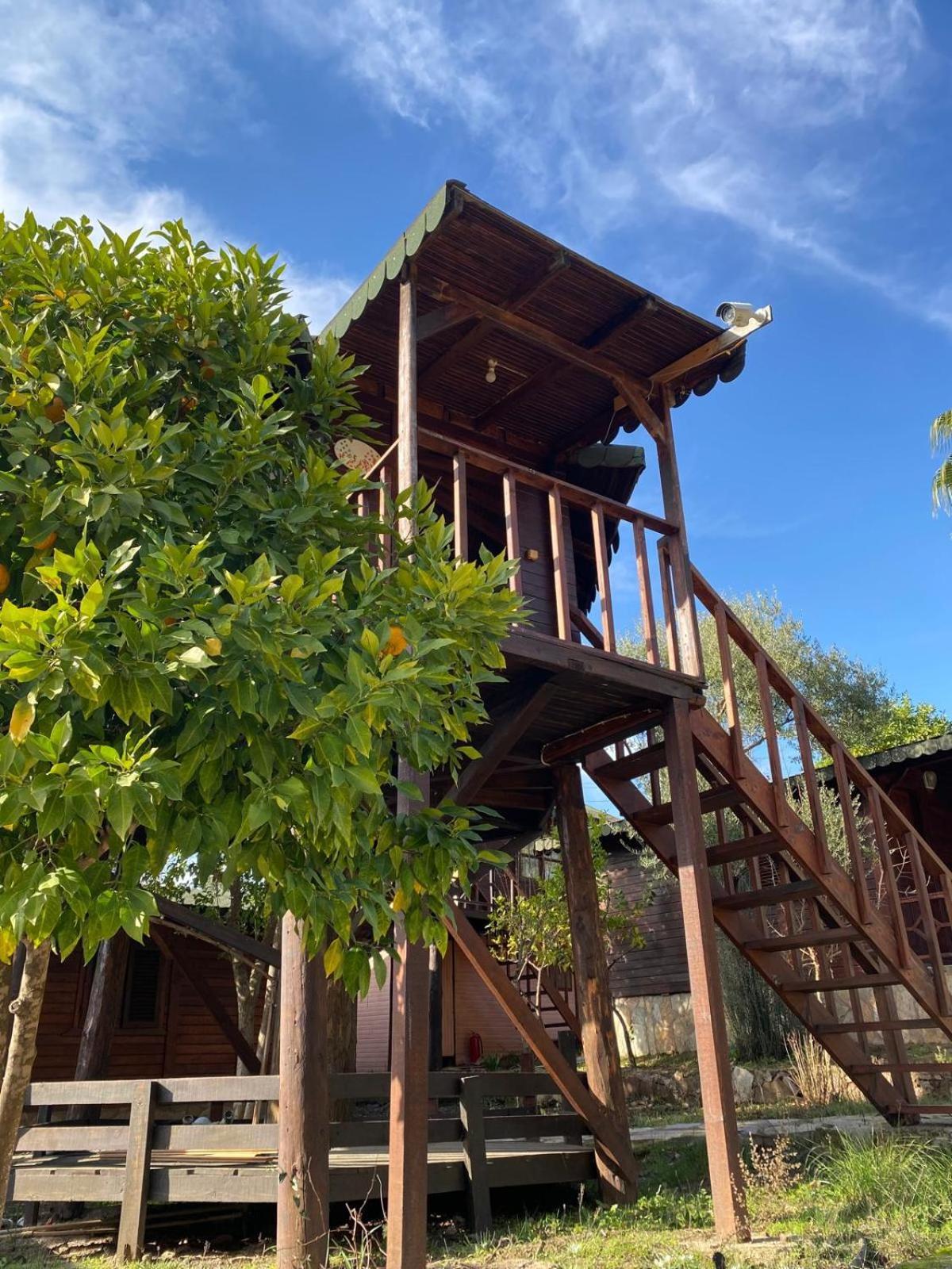 Olympos Talara By Arzum Hotell Kumluca Exteriör bild
